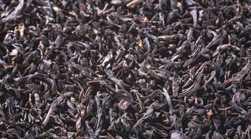 Discover Lapsang Souchong