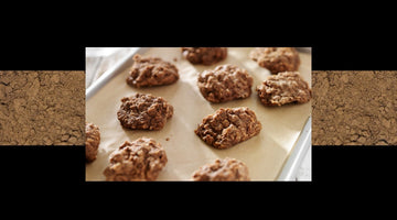 Healthy No-Bake RE/VIVE Cookies