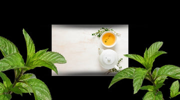 Revival Tea Academy: Green Tea (Chun Mee)