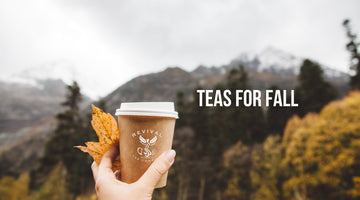 Teas for Fall